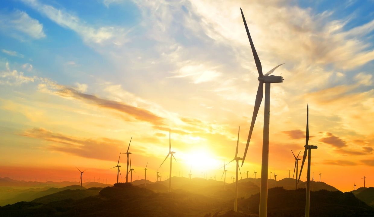 Wind Energy business consultant in Vietnam