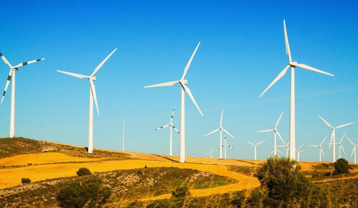 Wind Energy business consultant in Vietnam