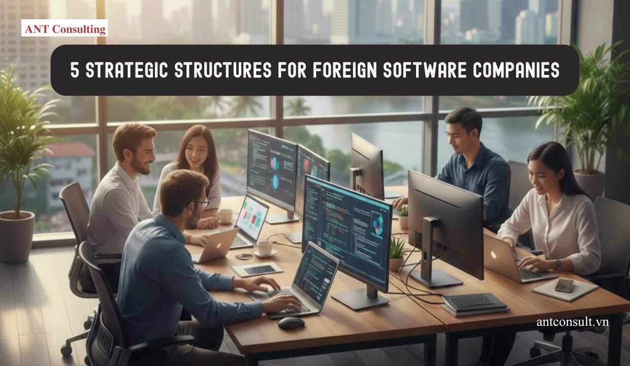 How to Hire IT Developers in Vietnam