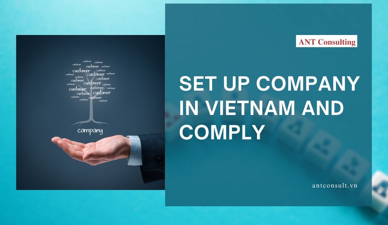 SetUpCompanyInVietnam
