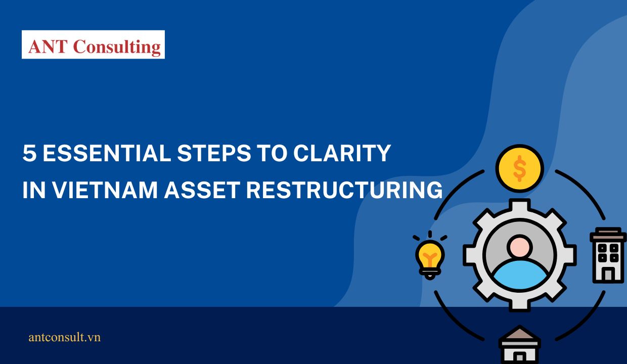 Vietnam asset restructuring